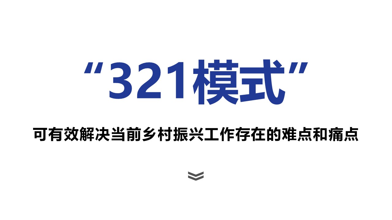 乡村振兴“321”模式解读(图2)